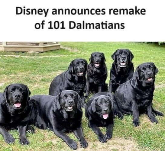 1000155215