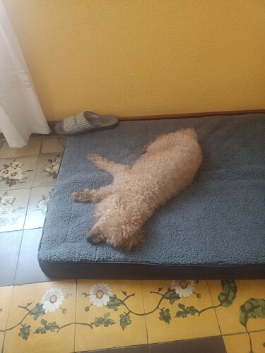 17595072851138039221921457369548